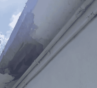 ¡Escuelas en peligro!