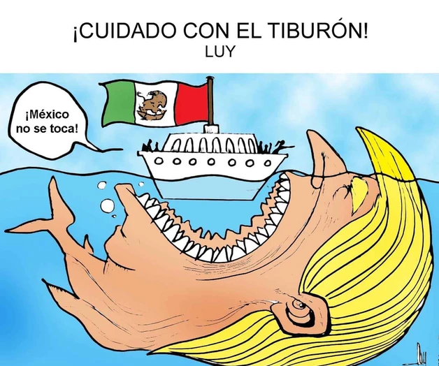 ¡Cuidado con el tiburón!