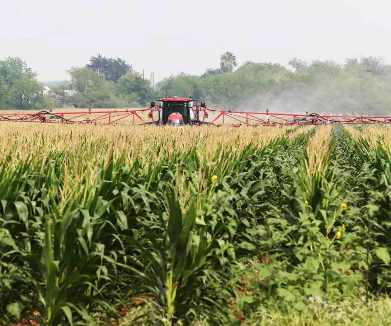 Enfermedad de Parkinson relacionada con pesticidas