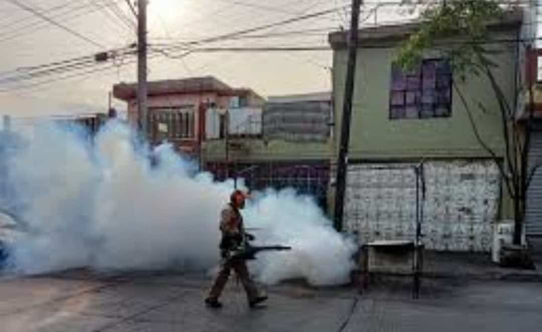 Reactivarán la fumigación contra dengue en colonias