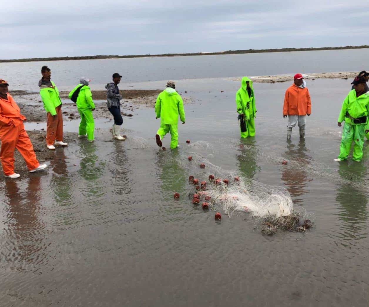  Actividad de SpaceX reduce hasta 60% la pesca en Matamoros