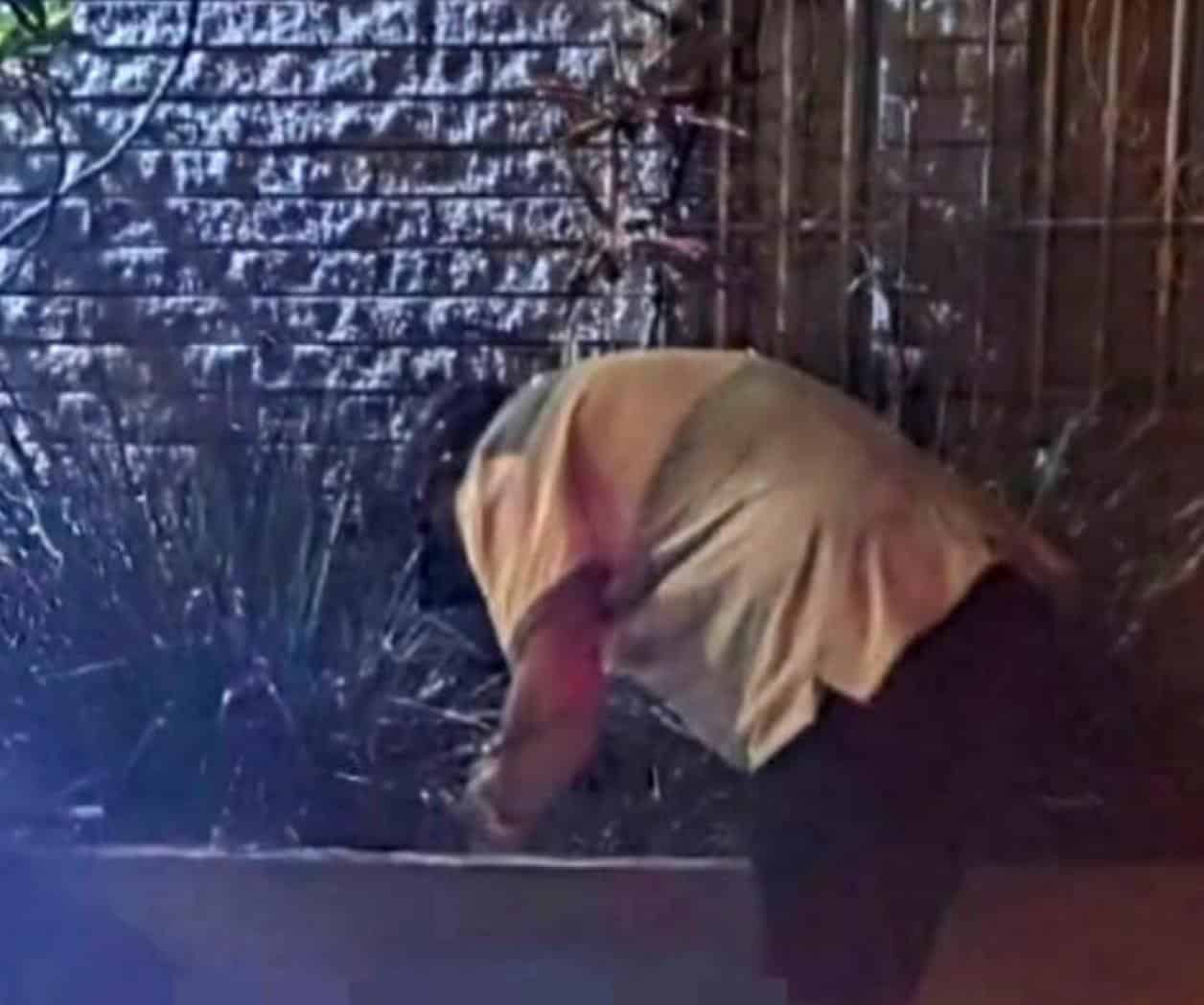 Entra a robar a casa ... muere desangrado
