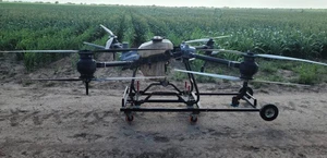 Combaten plaga con drones
