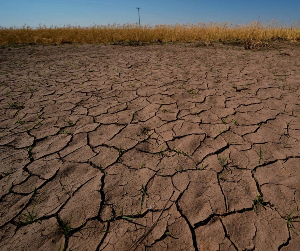 El Niño ya está aquí y los científicos temen que será enorme, devastador y costoso