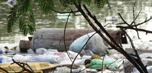 Se agrava contaminación  en Laguna Benito Juárez