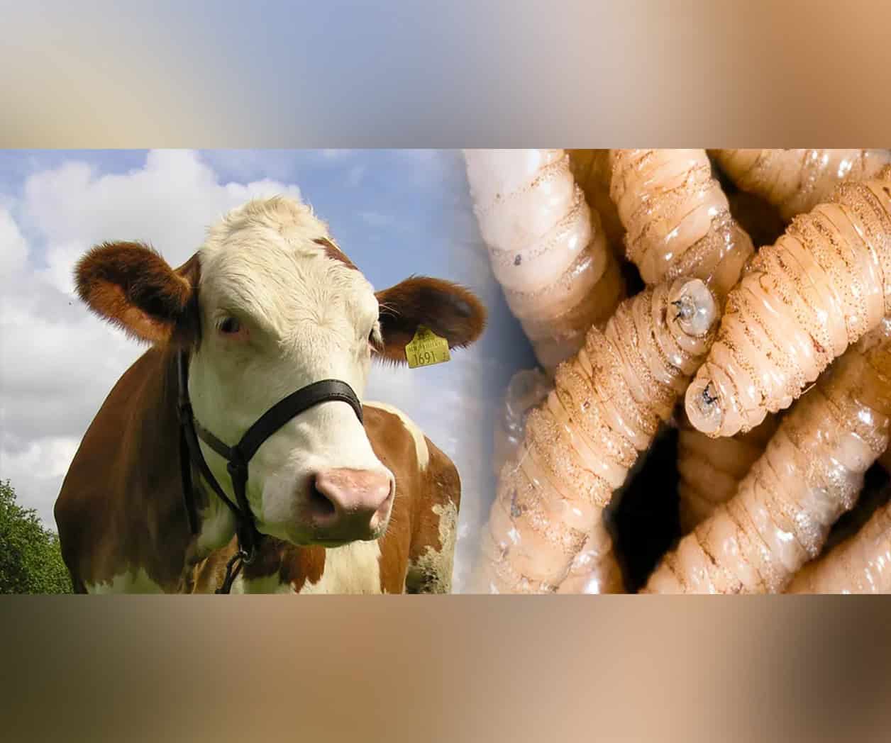 Alertan que planta ‘no es suficiente’ Alertan que planta ‘no es suficiente’