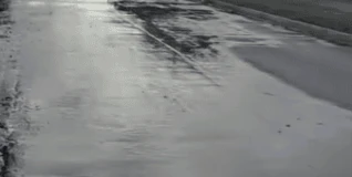 Reportan brote de aguas residuales en la colonia San Antonio