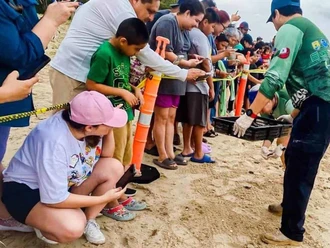 Realizan primera liberación pública de tortuga lora en La Pesca