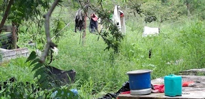 Encuentran cadáver de indigente entre maleza