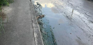Escurrimiento se torna en problema sanitario