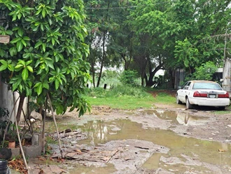 Ya no soportan la invasión de zancudos