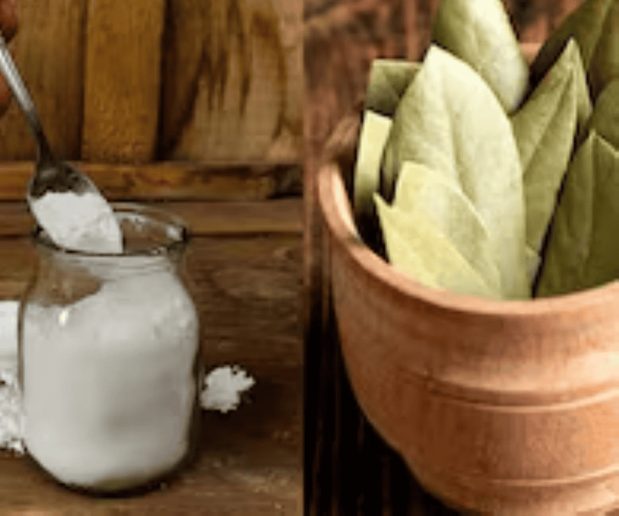 ¿Para qué sirve la mezcla de laurel con bicarbonato? ¿Para qué sirve la mezcla de laurel con bicarbonato?