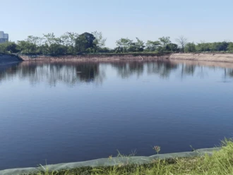 Profepa y Conagua indagan muerte de peces en Veracruz