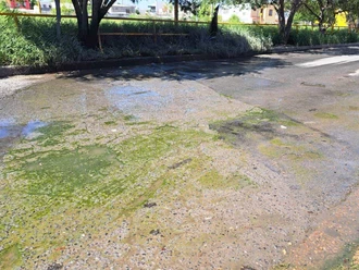 Persiste fuga de drenaje y fétidos olores en Módulo 2000