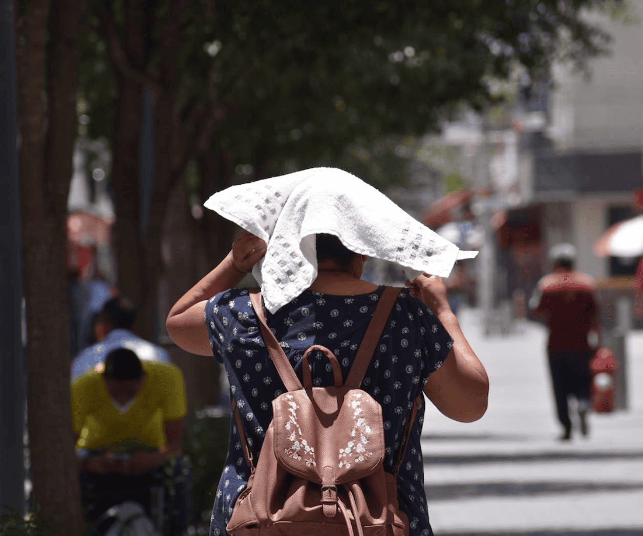 Calor extremo eleva atenciones médicas