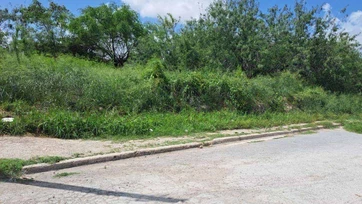 Generan miedo los lotes abandonados