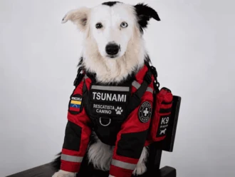 Tsunami, el perro que da esperanza a Venezuela