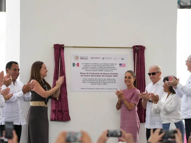 Cooperación, más fuerte  que confrontación: CSP