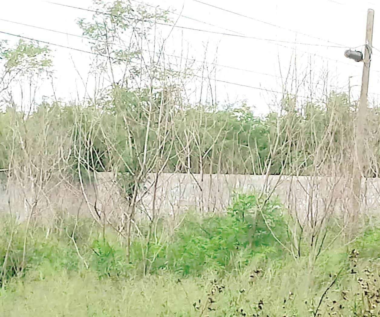 Piden frenar abandono de predios