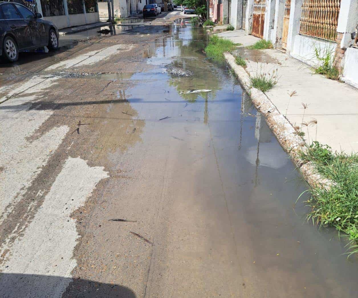 Desperdician agua y COMAPA no responde