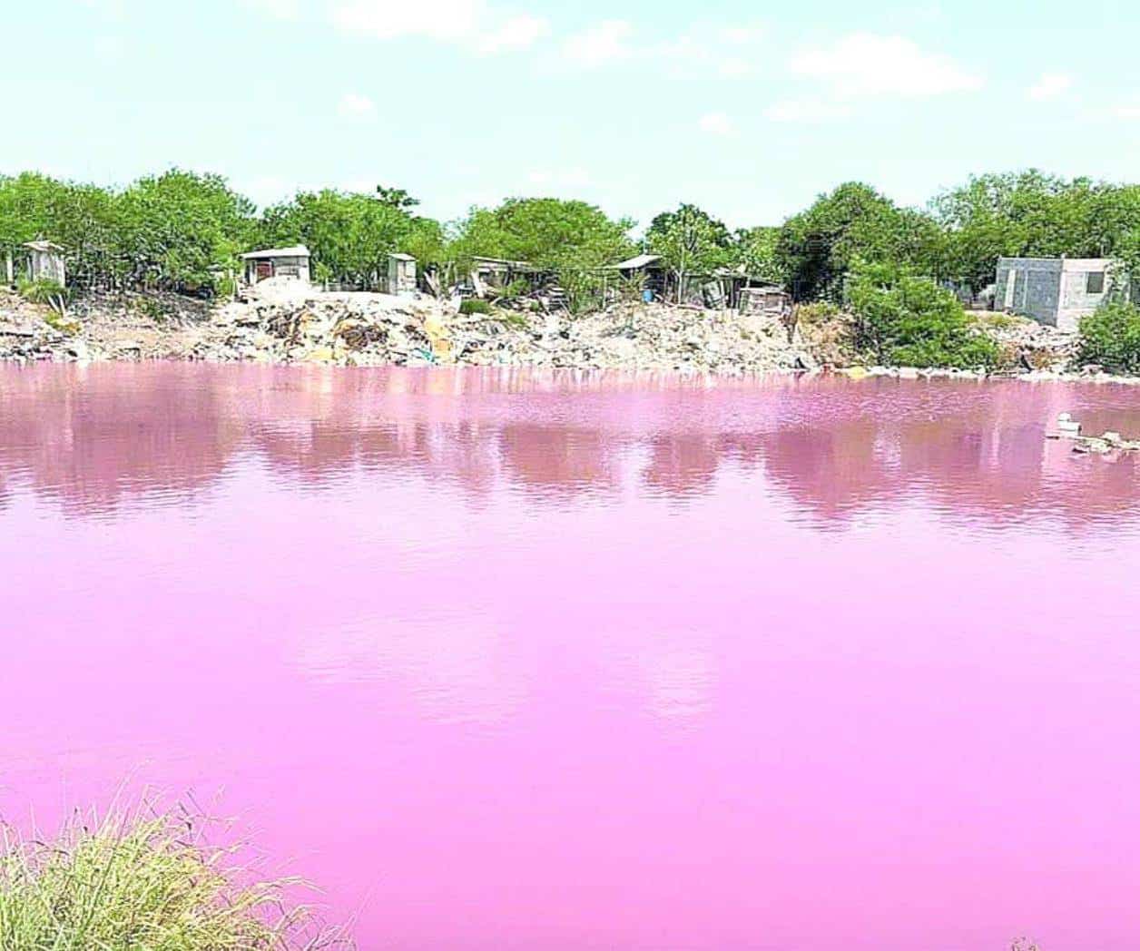 Se pinta laguna de color rosado
