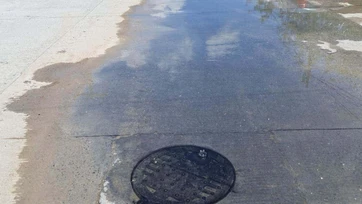 Brote de aguas malolientes