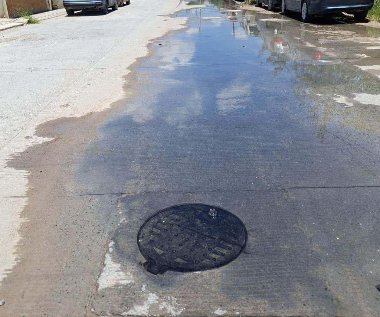 Brote de aguas malolientes
