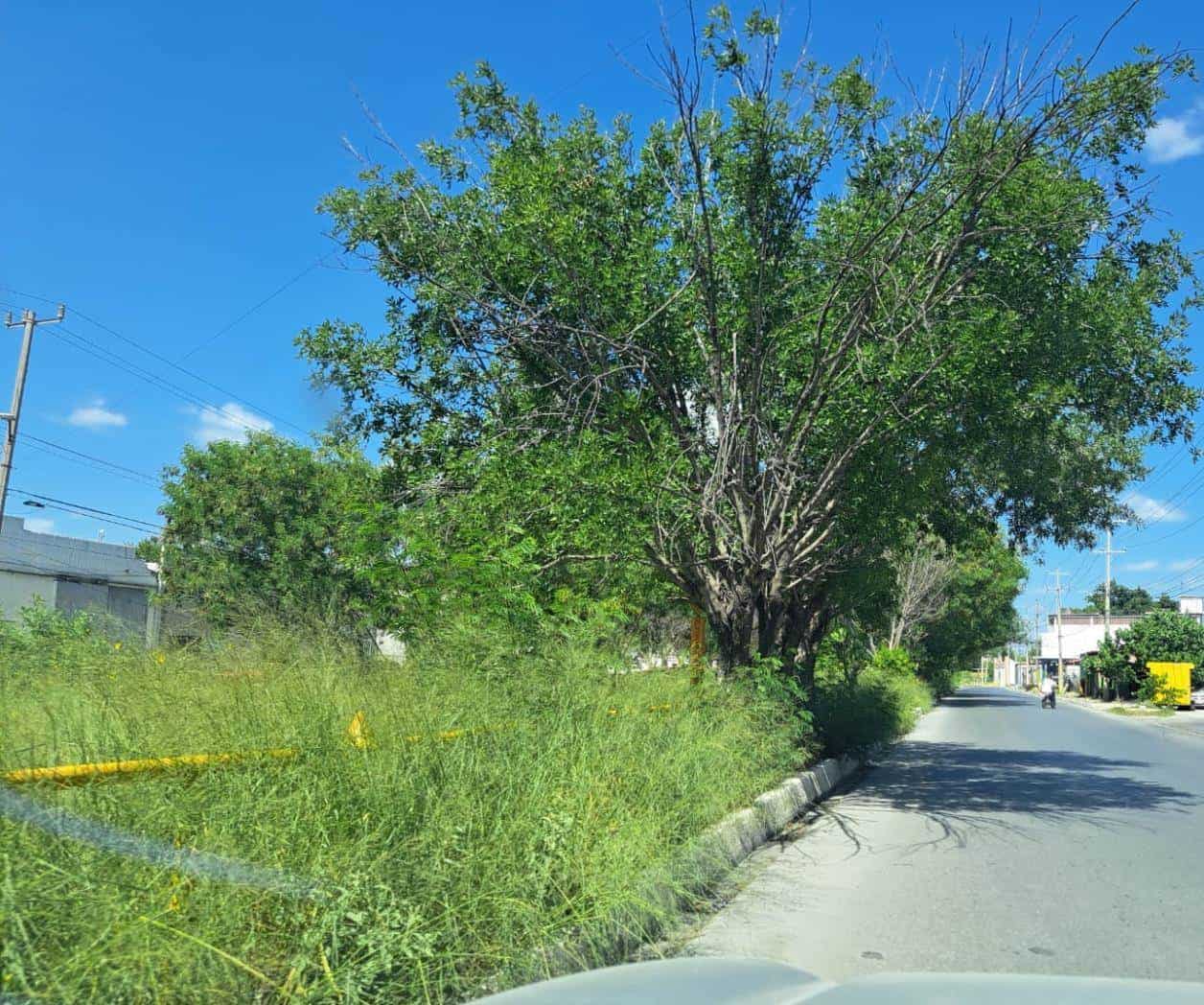 Invade maleza derechos de vía de PEMEX