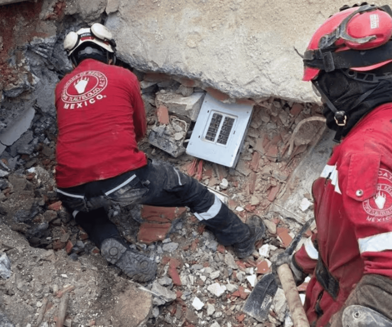 Mali, símbolo de esperanza para encontrar vidas en Venezuela Mali, símbolo de esperanza para encontrar vidas en Venezuela