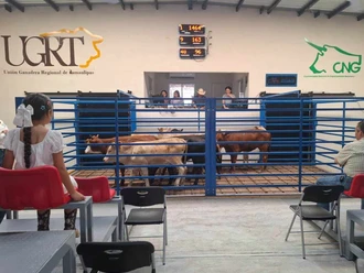 Sigue cerrado mercado de EU