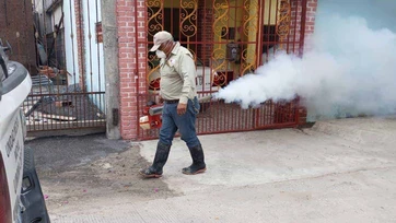 Demandan fumigación por plagas de zancudos