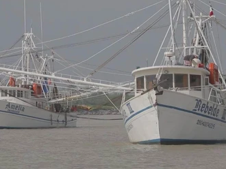 Impulsa Tamaulipas acciones para la pesca sustentable de camarón