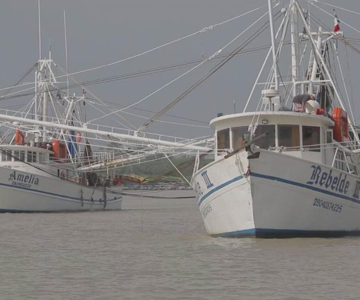Impulsa Tamaulipas acciones para la pesca sustentable de camarón Impulsa Tamaulipas acciones para la pesca sustentable de camarón