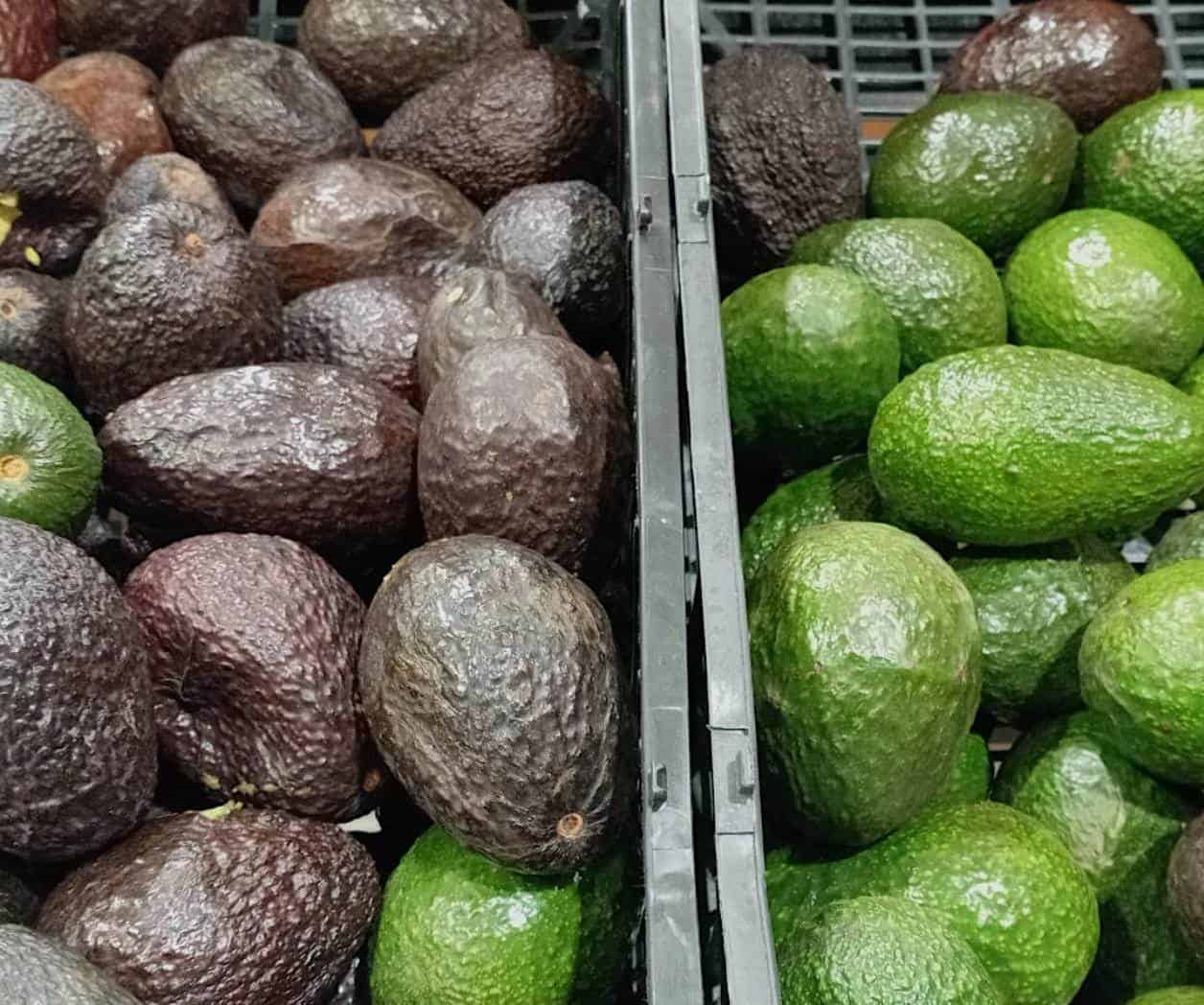 Encabeza el aguacate alza en productos básicos