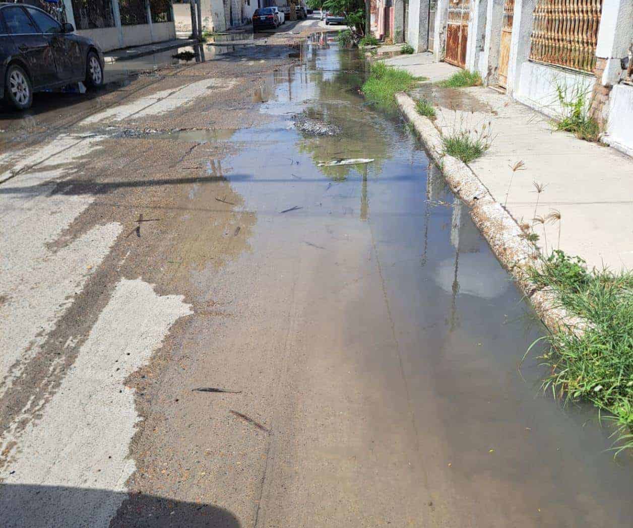 Desperdician agua y COMAPA no responde