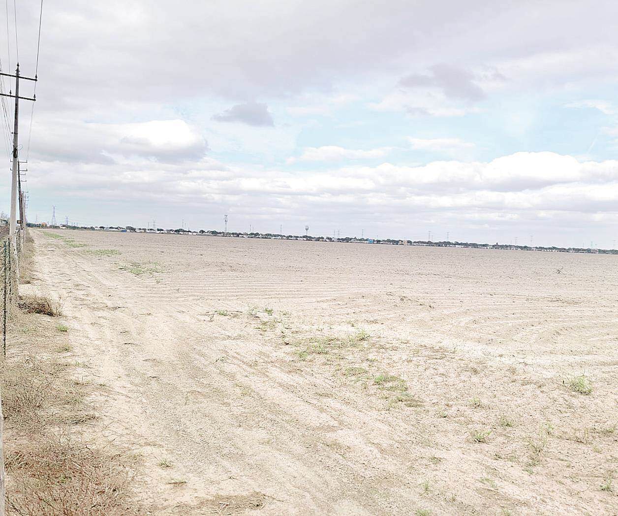Ahoga la sequía al campo reynosense