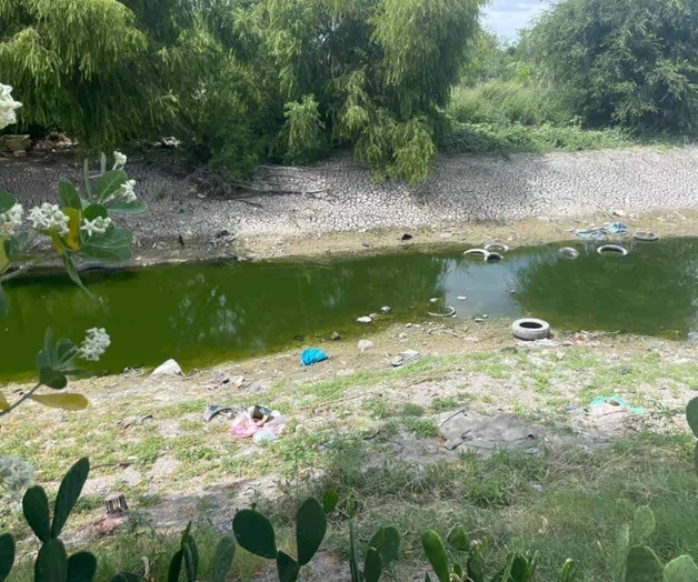 Imagen de opinión ciudadana