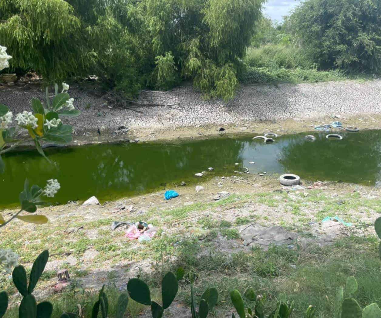 Vecinos demandan limpieza del Rodhe