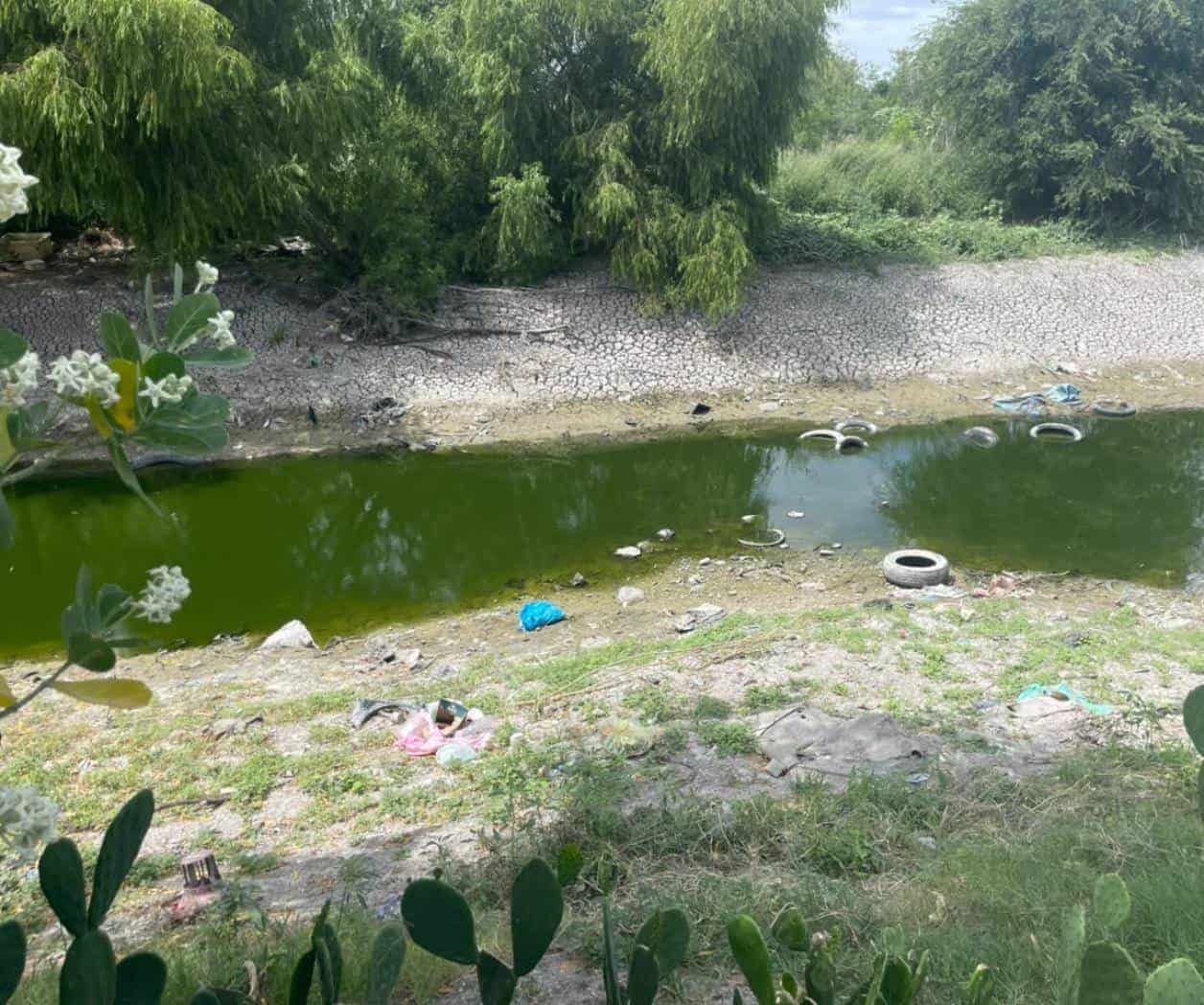 Vecinos demandan limpieza del Rodhe