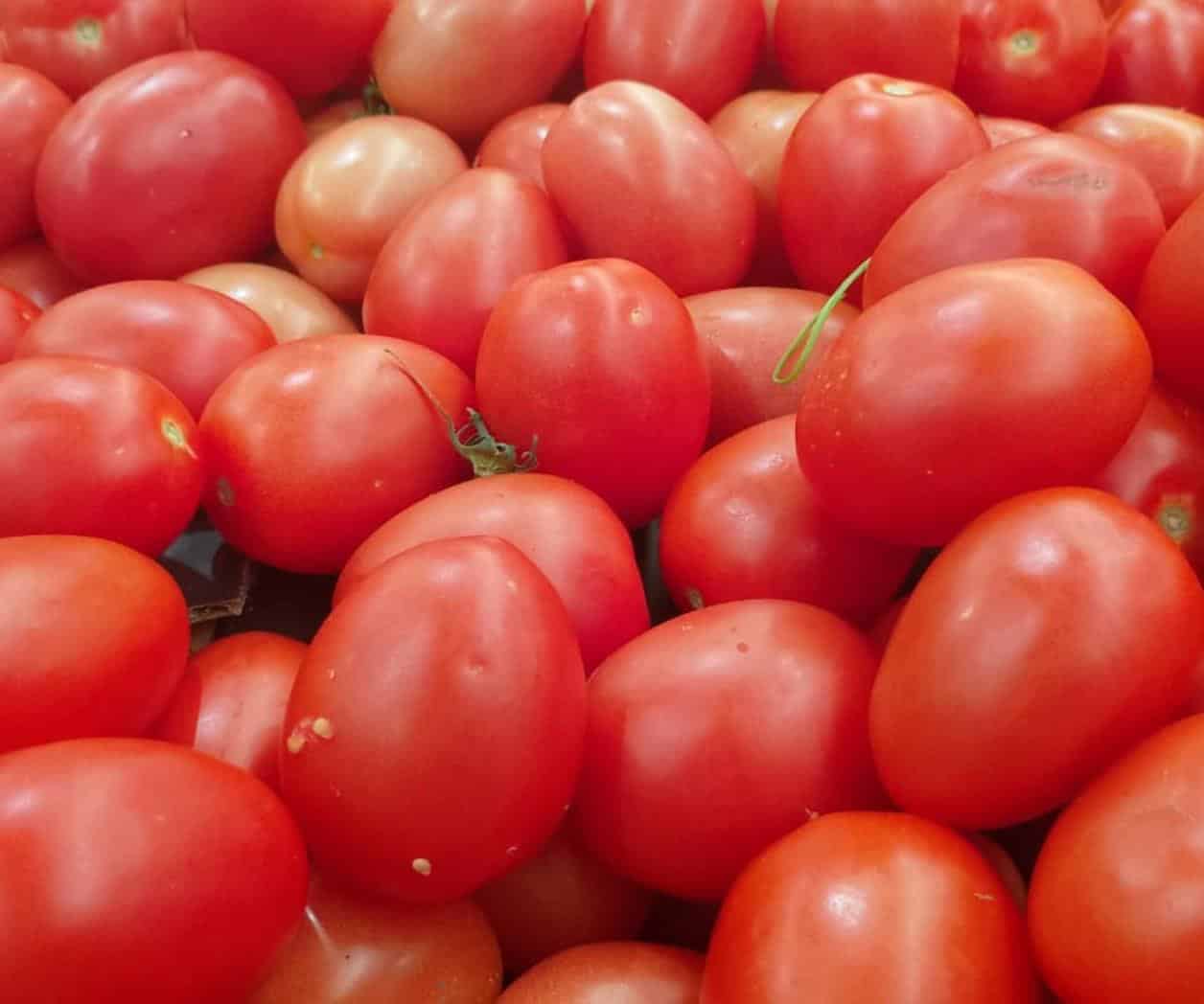 Cae tomate  de $34.90  a sólo $9