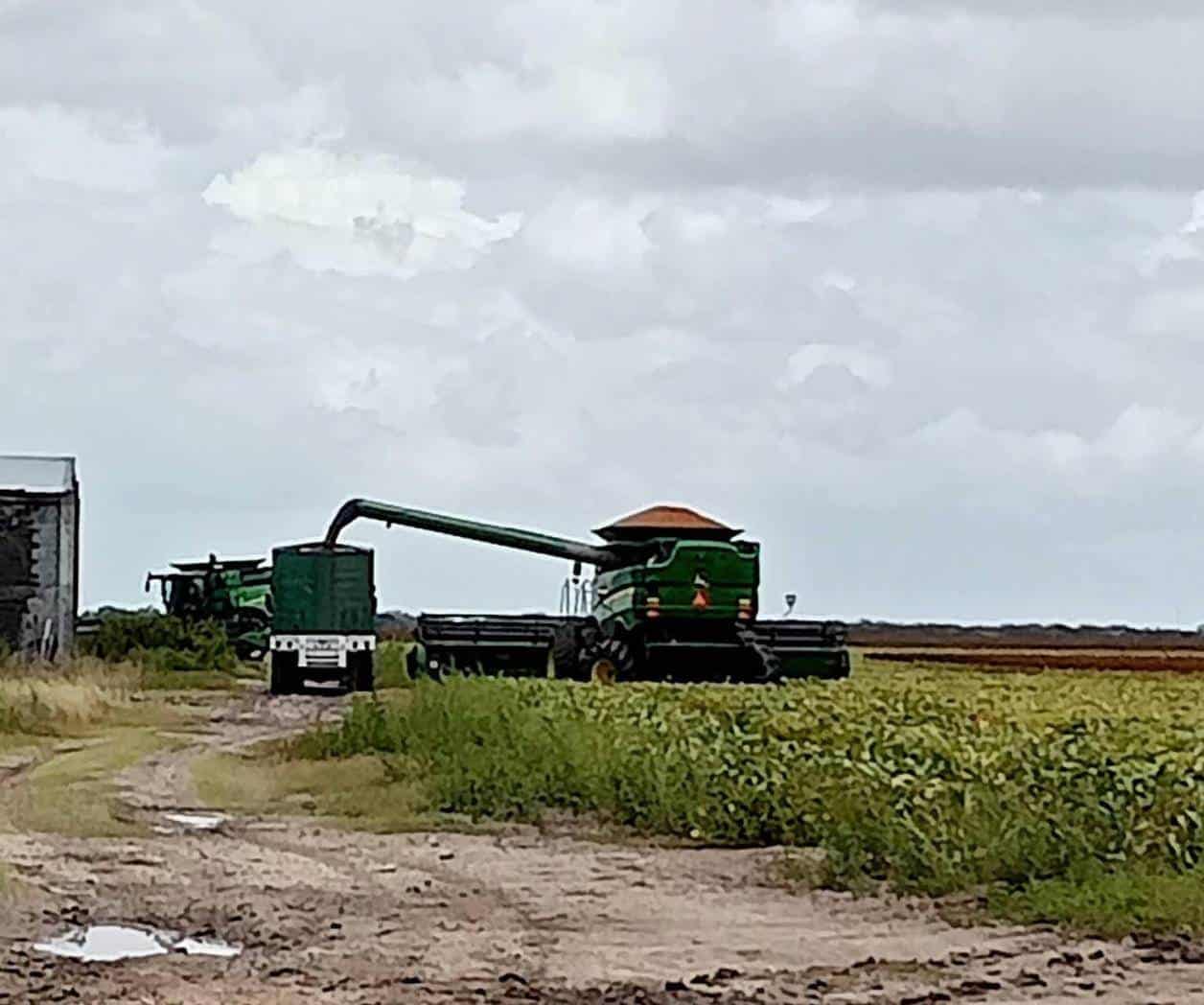 Acaba la trilla en Valle Hermoso
