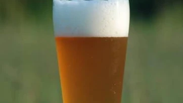 La función de la espuma de la cerveza y su importancia