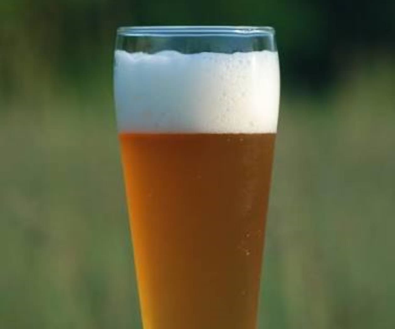 La función de la espuma de la cerveza y su importancia