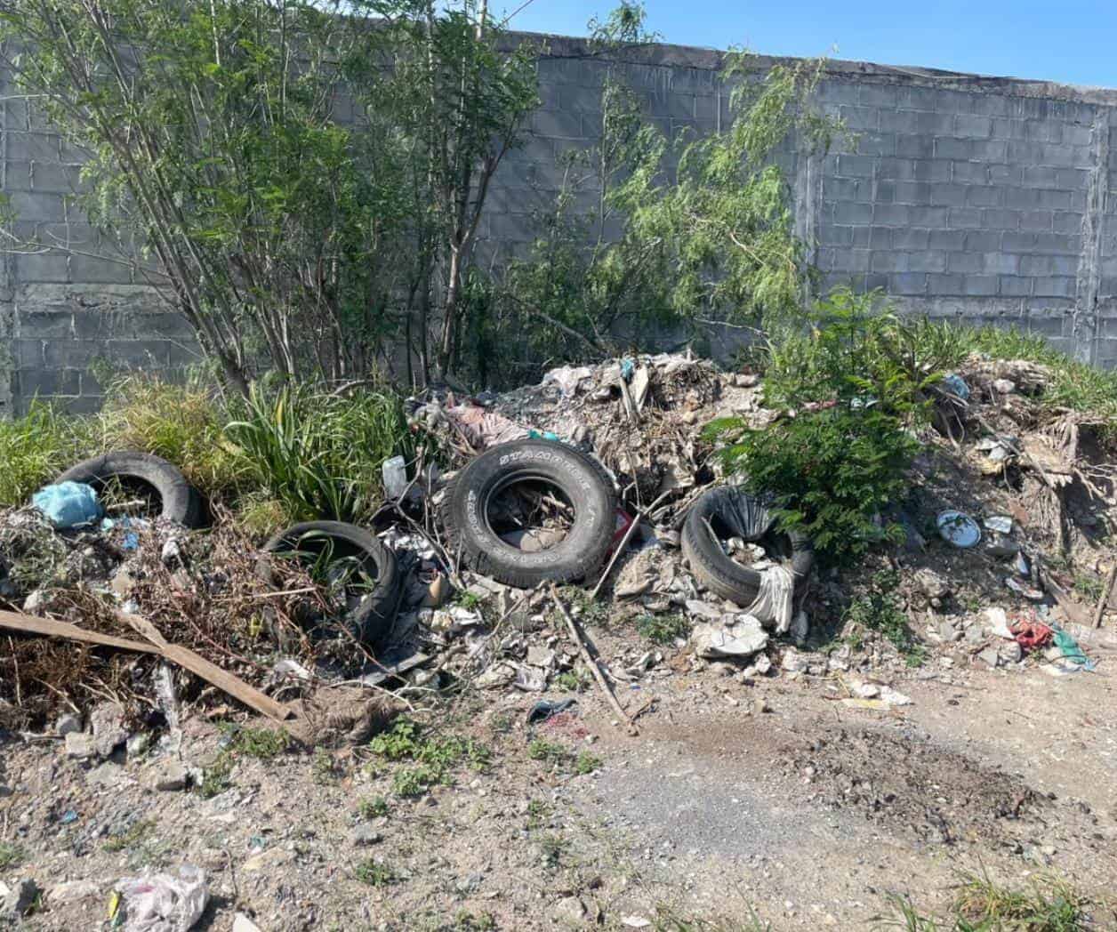 Basurero se convierte en un nido de víboras