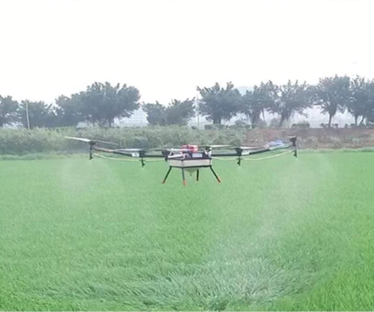 Drones revolucionan el campo tamaulipeco