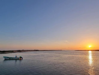 Reanudan la pesca de camarón tras veda en la Laguna Madre