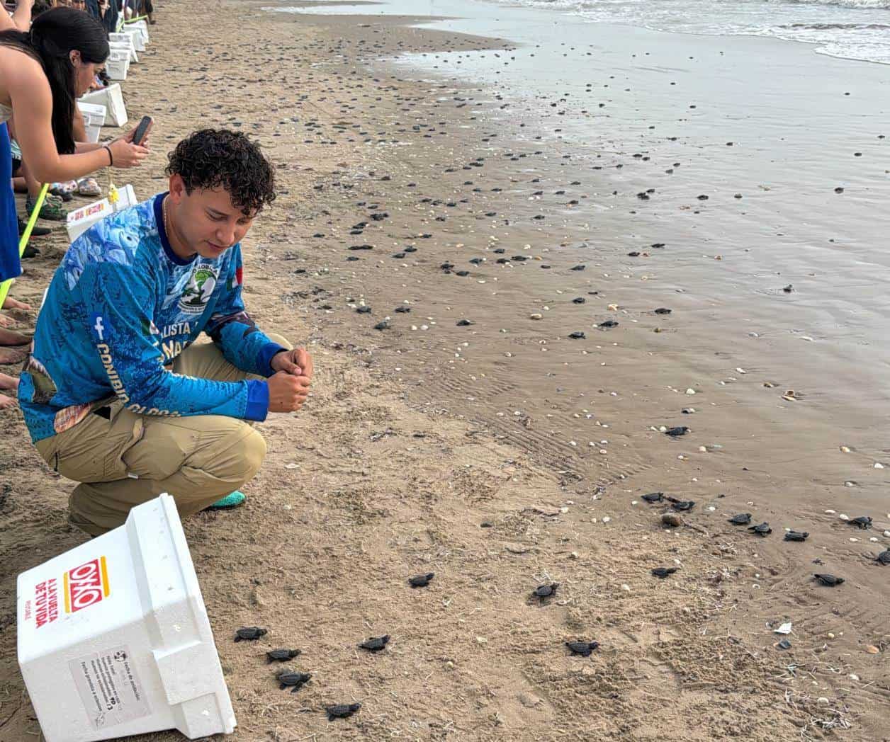 Concluye liberación de  tortuga marina