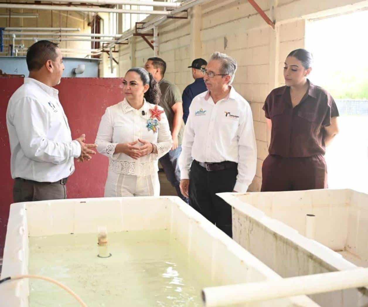 Destaca Sosa proyectos acuícolas en Tamaulipas