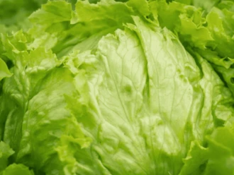 FDA investiga brote de diarrea tras falso positivo a lechuga mexicana