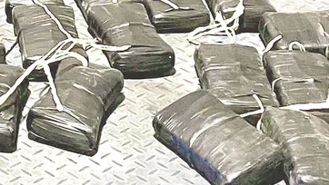 Decomisa el DPS cocaína valuada en 190 mil dólares